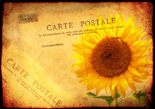 Grunge Background With Texture Old Paper And Vintage Post Card