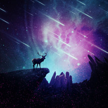 Majestic Deer With Long Stand On The Peak Of A Rocky Hill Below A Wonderful Night Sky With Falling Stars And Sparkles. Mystic Wild Scene Screen Saver.