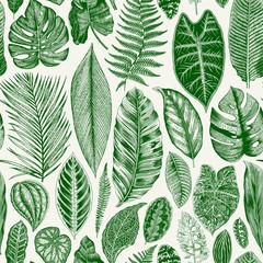 Vector seamless vintage floral pattern. Exotic leaves. Botanical classic illustration. Green