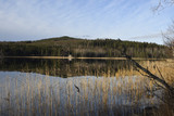 Fototapeta Pomosty - View ower lake in autumn with seaweed in foreground