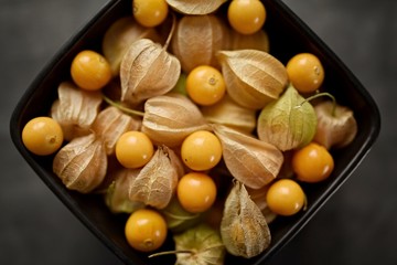 Wall Mural - Physalis fruit 