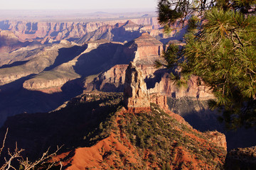 Wall Mural - Evening light on the North Rim from Point Imperial