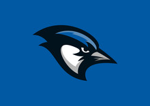 Blue Jay Bird Sport Mascot