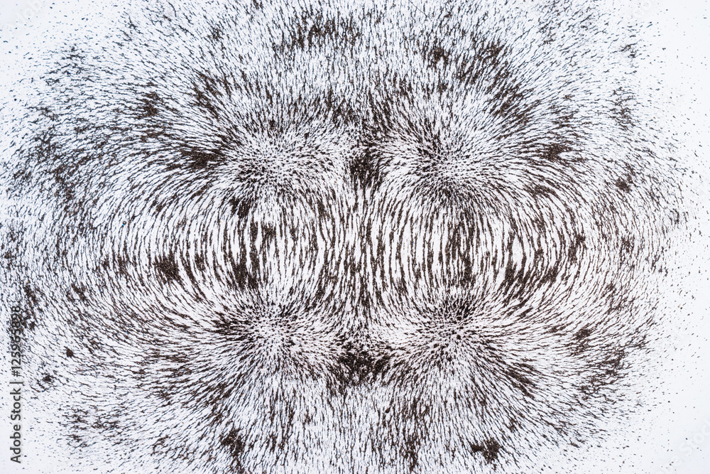 Magnetic Field Lines Iron Filings
