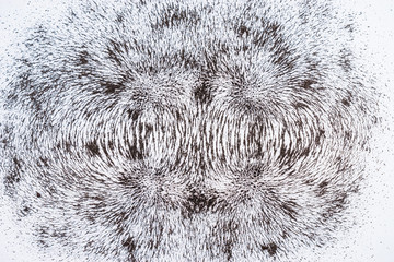 iron filings show magnetic field lines. science magnetic field. physics magnetic field. two magnetic