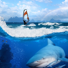 Wall Mural - windsurfer in ocean rainbow on sky and wild shark underwater