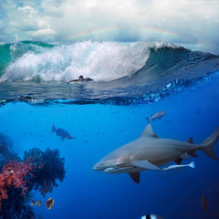 Wall Mural - underwater ocean story with surfer and shark