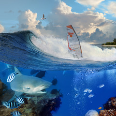 Wall Mural - windsurfer on breaking ocean wave and wild angry shark underwate