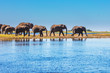 The Chobe National Park