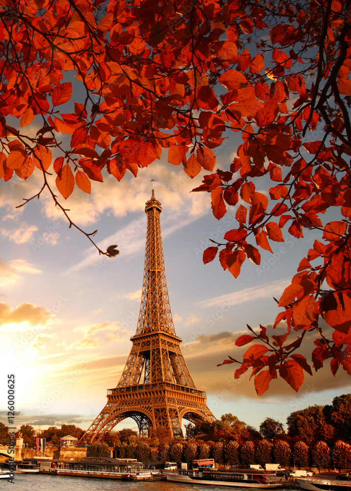 Wieża Eifla opleciona czerwonymi liśćmi - obrazy, fototapety, plakaty 