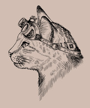 Portrait Steampunk Cat With Retro Glasses, In Etching Style, Isolated