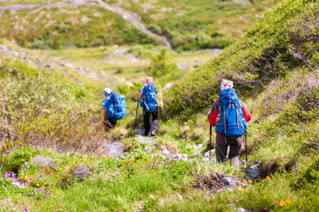 Poster - Young people are hiking in highlands of Altai mountains, Russia