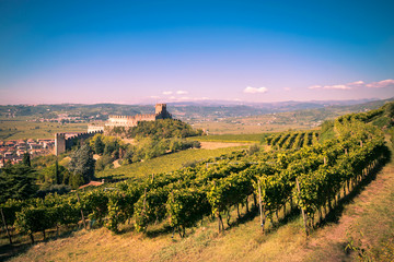 view of Soave (Italy) and its famous medieval castle