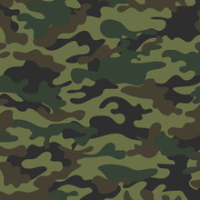 Picture With A Military Color Of The Ground Color Khaki