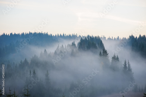 Obrazy Karpaty   rano-w-gorach