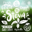 Stevia and Organic food label Set. Farm Fresh label and Logo element. Organic,bio,ecology natural design template. Easy editable for Your design. Retro natural look logotype icon.