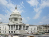 Fototapeta  - United States Capitol Building in Washington DC