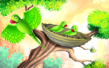 The Twins (story Of Parrots) (4 5)
