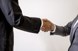 © metamorworks - two business persons shake hands