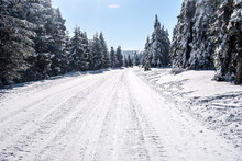 Snow Covered Road With Trees Around And Clear Sky Between Ovcarna And Praded Hill In Winter Jeseniky Mountains