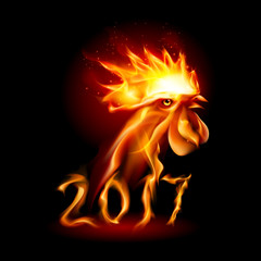 Wall Mural - Fire Rooster