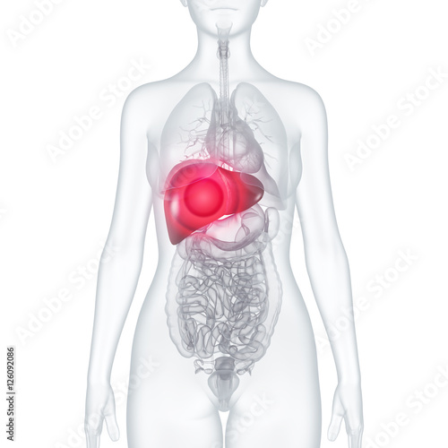 Leberschmerzen Leberschmerzen