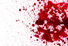 Splattered Blood Stain On White Background