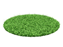 Detail Of A Field Natural Swamp Green Grass Summer Fragment Area Isolated On White Background. Circular Arena Field With Wading Wild Grass And Large Leaves Mugs. 3d Illustration
