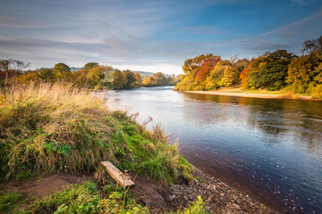 Wall Mural - River Tyne formed from North and South Tynes, when the rivers converge near Warden in Northumberland. Also known as, The Meeting of the Waters, seen here in autumn