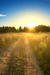 Sticker - summer rural landscape with sunrise