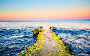 Wall Mural - road in the sea covered with moss