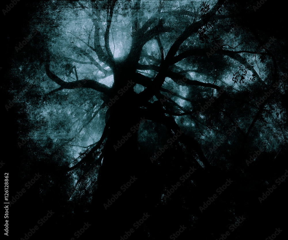 Scary forest wallpaper, halloween dark trees, textured grunge background  Stock Photo | Adobe Stock, image size:1000x833