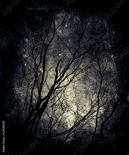 Beautiful Vintage Grunge Scary Background Landscape With Halloween Dead Tree Wall Mural Wilqku