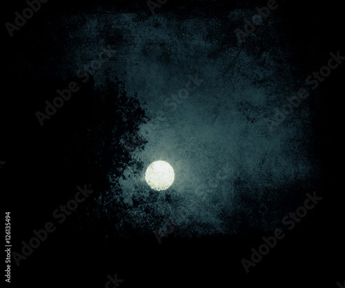 Beautiful Night Sky Wallpaper Photo Of Full Moon And Tree Space