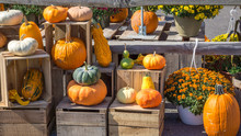 A Variety Of Pumpkins On Display At The Farm