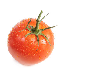 Wall Mural - One fresh wet tomato isolated on white background
