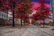 © jong - pink sky over the old port
