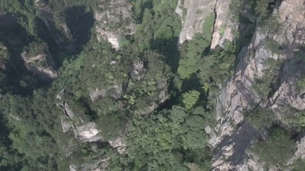 Wall Mural - mountain range vista zhangjiajie park china