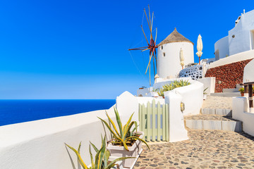 Wall Mural - Typical white windmill on street of Oia village, Santorini island, Greece