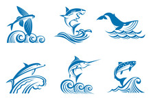 Collection Of Fish And Marine Mammals On The Waves