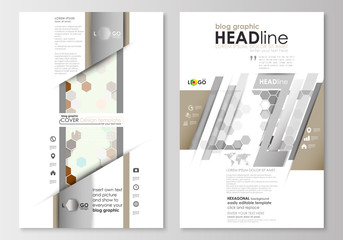 Blog graphic business templates. Page website design template, easy editable, flat layout. Abstract gray color background, modern stylish hexagonal vector texture.