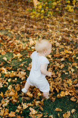 Young toddler girl in autumn leaves