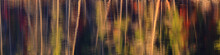 Panorama Of Fall Color Abstract