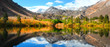Fall colors near Sabrina lake ,Bishop California