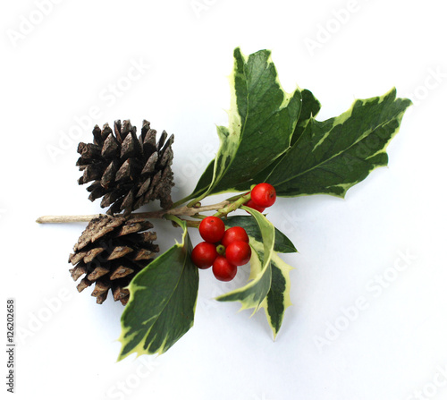 ヒイラギの葉とナンテンの実と松ぼっくりのクリスマスの飾り Adobe Stock でこのストック画像を購入して 類似の画像をさらに検索 Adobe Stock