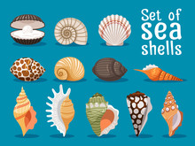 Sea Shells Isolated On Blue Background. Seashell Set Vector Illustration For Your Sea Design