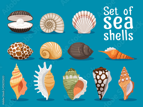 Fotografía Sea shells isolated on blue background