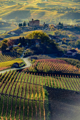 Autumn in northern italy region called langhe with colorful wine