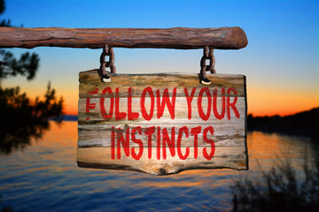 Wall Mural - Follow your instincts