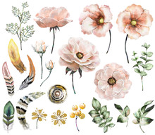 Set Vintage Watercolor Elements Of Rose, Collection Garden, Wild Flowers, Leaves, Branches Flowers, Illustration Isolated On White Background, Eucalyptus, Bird  Feathers, Tribal, Ethnic, Indian, Berry